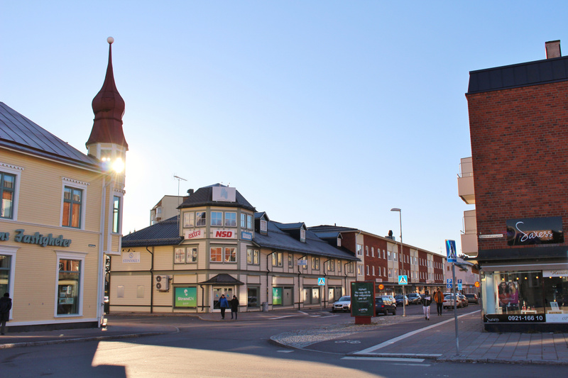 Luleåforskare om dinosauriernas historia