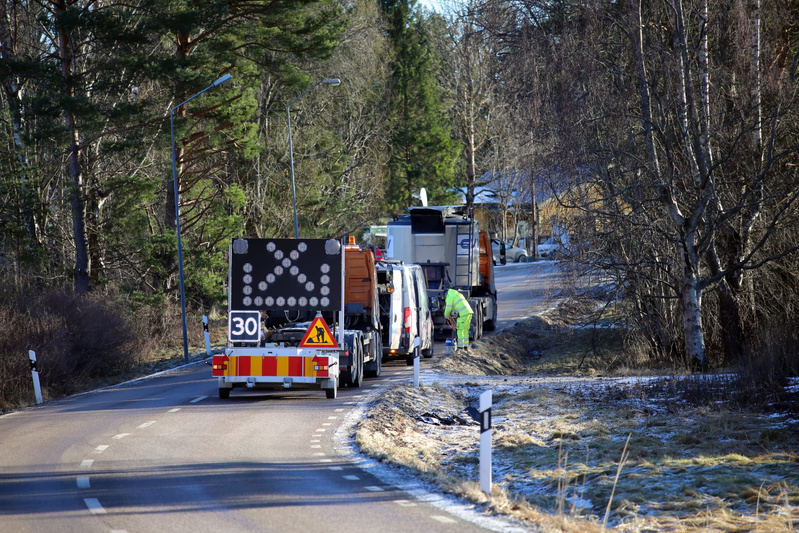 Invasiva träd hotar gravstenar i Piteå