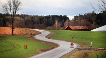 Mentorskap för chefer i Region Norrbotten