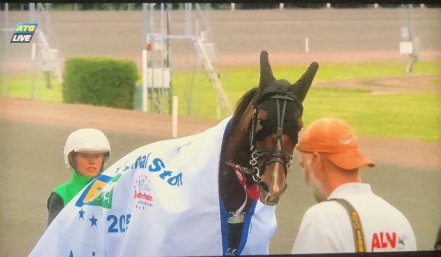 Vinst kobra brick