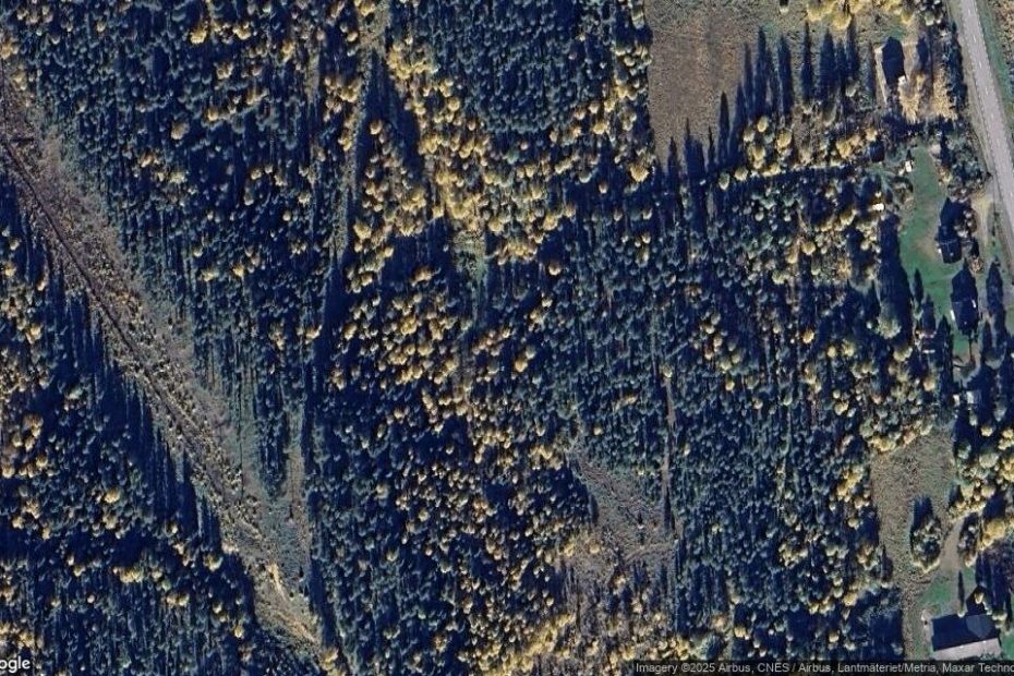 Lantbruksfastighet i Harads såld till nya ägare – priset: 150 000 kronor