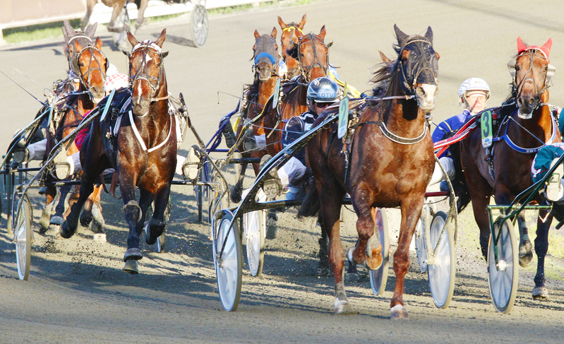 Bodenhästen favorit inför miljonloppet OAKS