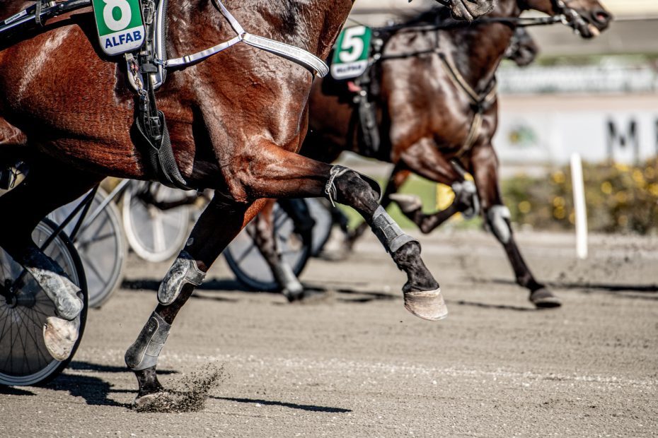 Sundbyholms travbana