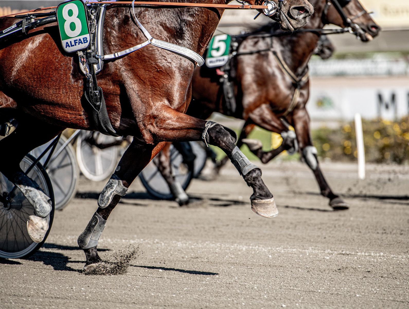 Sundbyholms travbana