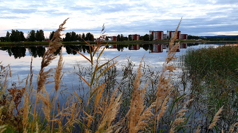 Bodens kommun höjer pensionsavsättningarna för förtroendevalda